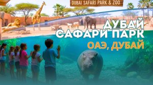 Dubai Safari Park — сафари-парк в Дубае: обзор 2026, цены, как добраться 🦁