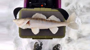 Первая Зимняя Рыбалка 2026! Волга. Юрьевец.