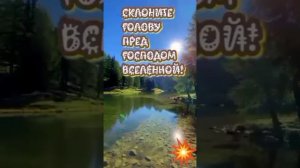 2_5465158584931227317.mp4