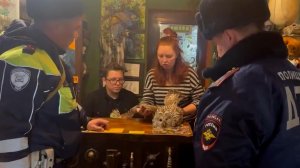 Полицейские спасли раненую сову на трассе в Иркутской области