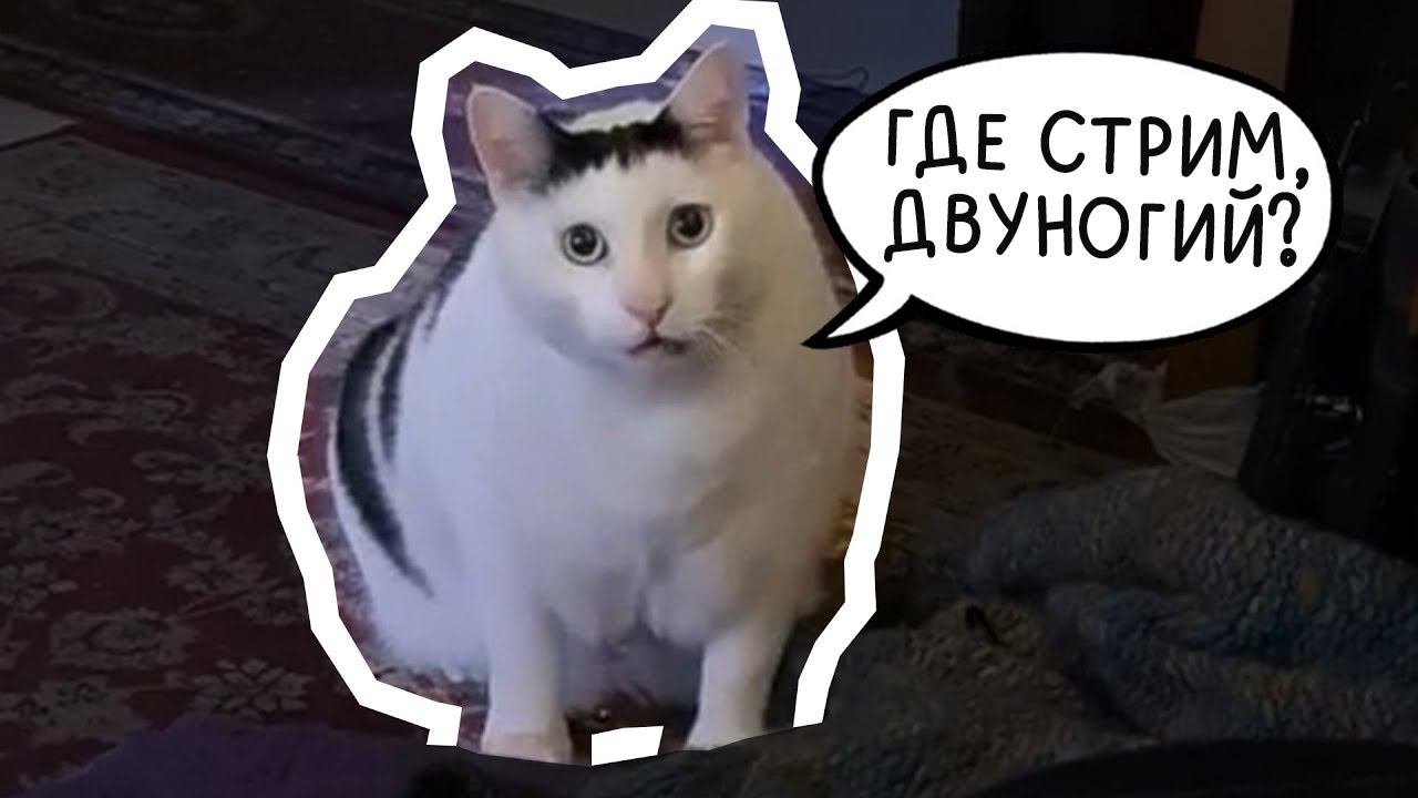 НОЧНЫЕ ПРИКЛЮЧЕНИЯ С ДЕТЕКТИВОМ ДЖЕКОМ АЛОПЕЦИЕЙ смотреть онлайн