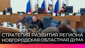 Депутаты Новгородской областной Думы единогласно приняли Стратегию развития региона до 2031 года