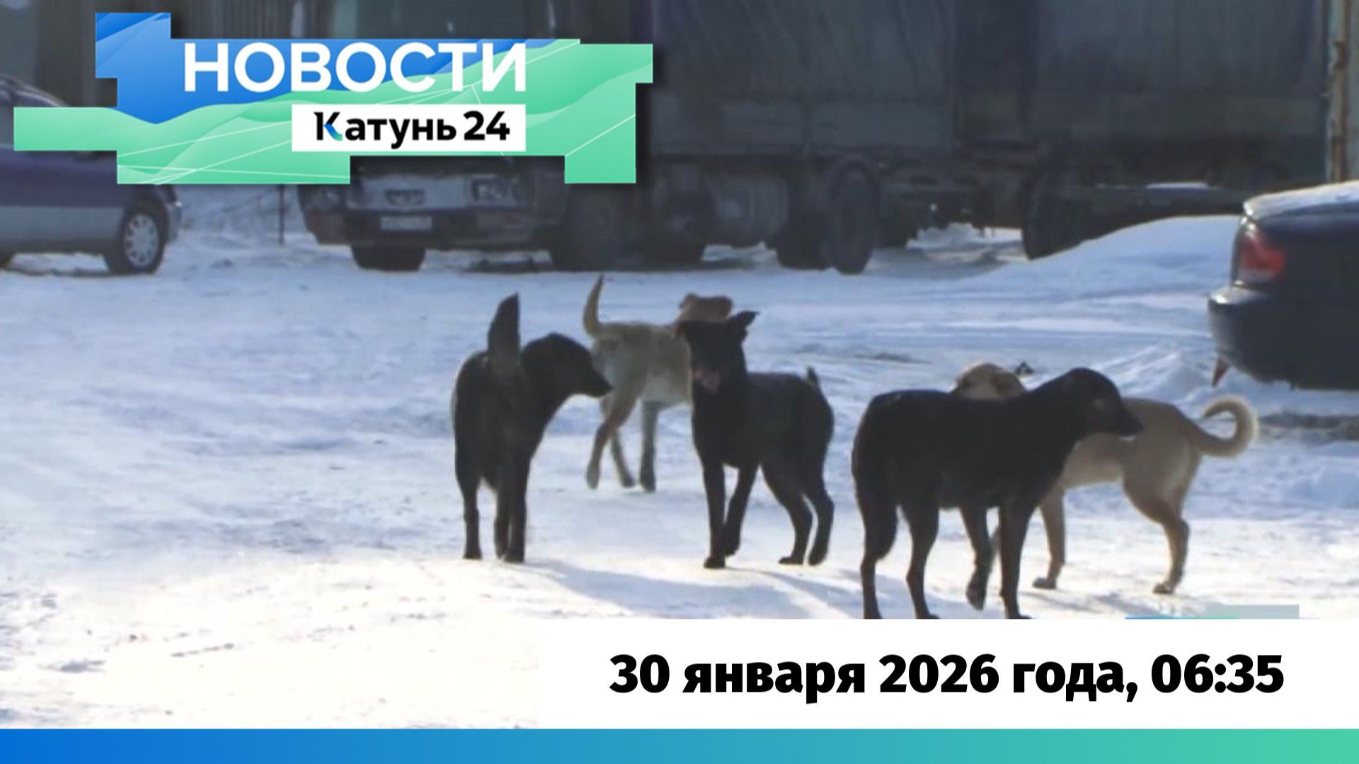 Новости Алтайского края 30 января 2026 года, выпуск в 6:35 смотреть онлайн