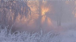 Суровый февраль... Он уже на подходе 1(Слова Сергея Колосова)