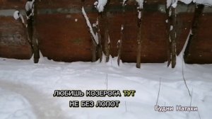 Знаки зодиака.Веселое сравнение! Взаимоотношения.