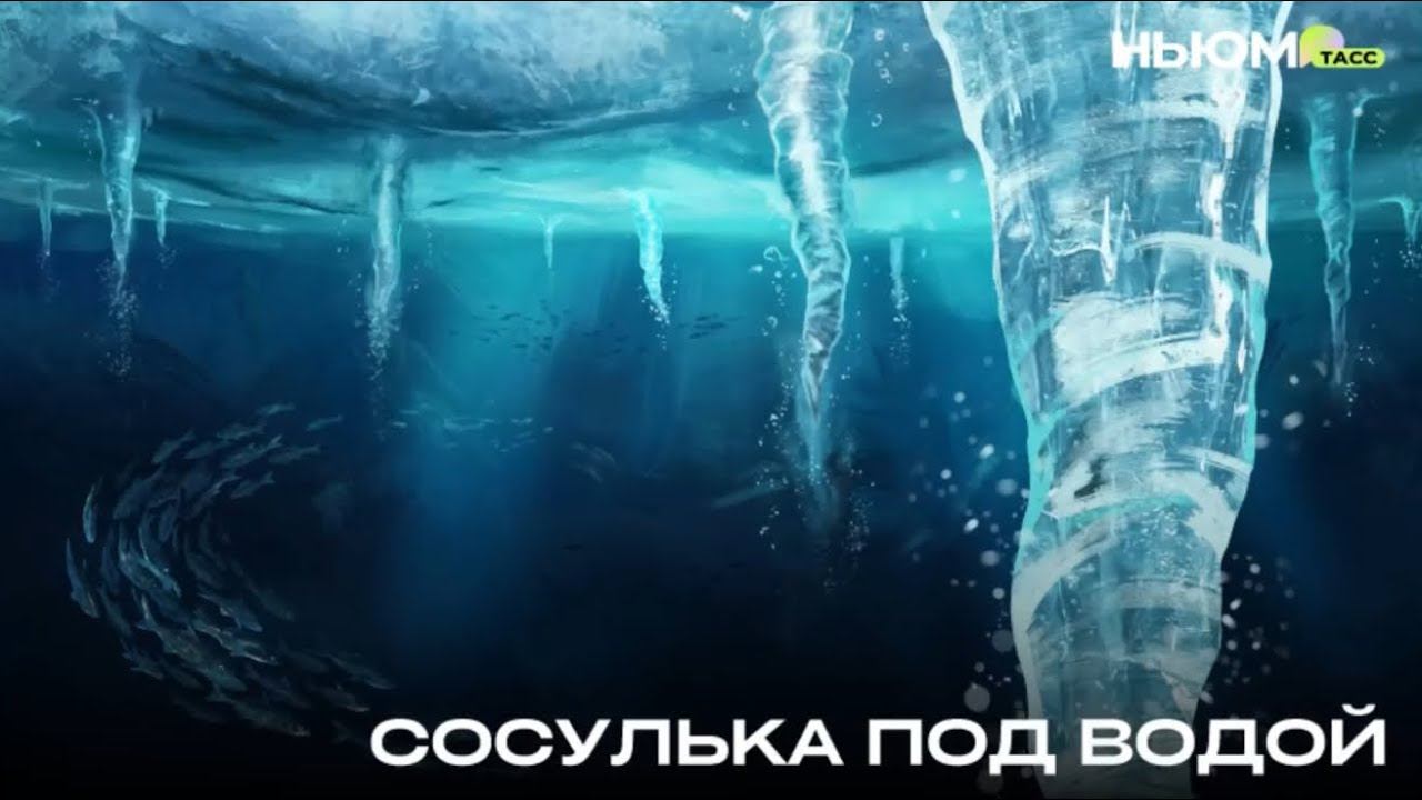 Удивительные брайниклы смотреть онлайн