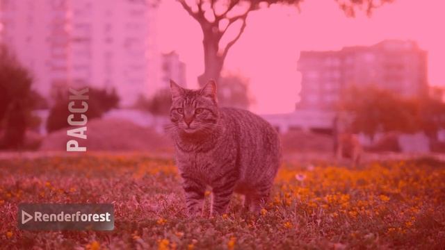 Позвольте себе утонуть в этом мире смотреть онлайн