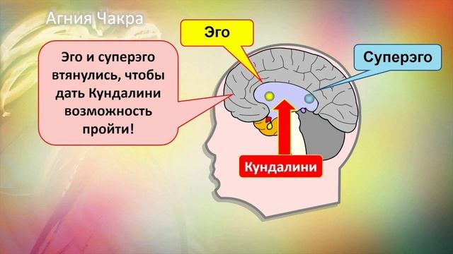Агия чакра. Описание. смотреть онлайн