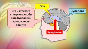 Агия чакра. Описание.