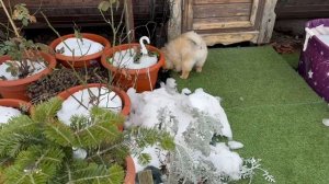 Планов очень много, посмотрим, что сегодня получится.