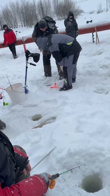 29/01/2026 смотреть онлайн