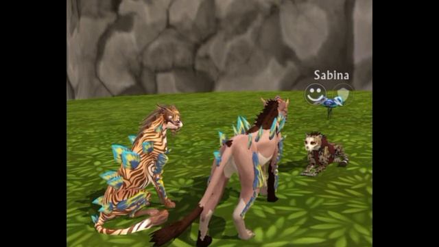 Мини фильм Wildcraft "Магия духов" 1 сезон 5 серия смотреть онлайн