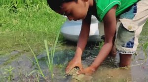 УДИВИТЕЛЬНОЕ ВИДЕО О РУЧНОЙ РЫБАЛКЕ