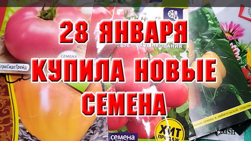 28 января. Обзор семян томатов и цветов смотреть онлайн