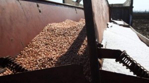 В постпредстве РФ при ЕС сообщили о сокращении импорта российских удобрений с 2025 года