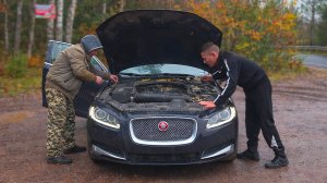 Погладь кота! Оживляем Ягуар XF 2014г.