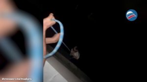 Ужас в Воронеже: пьяный мужчина спускал на тросе маленького сына с балкона 7 этажа