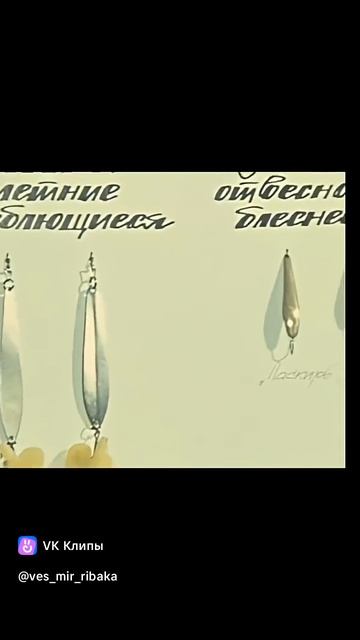 1000083511.mp4 смотреть онлайн