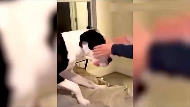 Всячинки смотреть онлайн