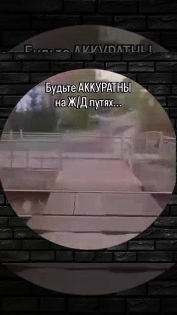 1000036816.mp4 смотреть онлайн