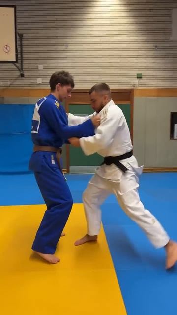Combination Drills of Ashi-waza with Emphasis on Timing #judo #ashiwaza #osotogari #kouchigari #bjj смотреть онлайн