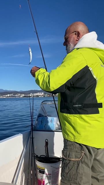 Ставридка в Адлере. смотреть онлайн