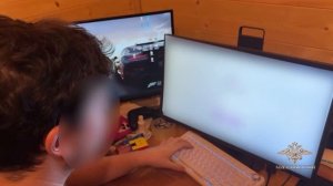 Ирина Волк: Сотрудники МВД России пресекли деятельность организованной группы