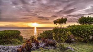 МЕЛОДИИ ДЛЯ РАССЛАБЛЕНИЯ ДУШИ