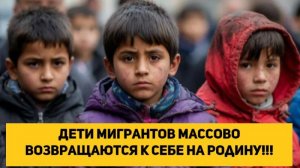 Дети мигрантов массово возвращаются к себе на родину!!!