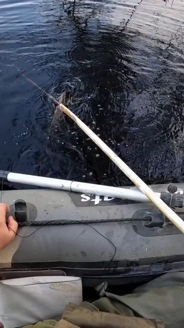 ВСЕГДА СОБОЙ БЕРУ ВОЛШЕБНЫЙ КРЮК НА РЫБАЛКУ смотреть онлайн