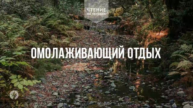 ОМОЛАЖИВАЮЩИЙ ОТДЫХ  | АУДИО |	5	  февраля 2026