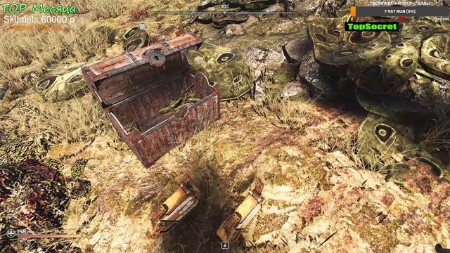 Pioner все 10 карт сокровищ локация Грибная равнина смотреть онлайн