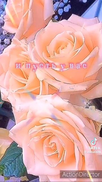 video_11610687608306.mp4 смотреть онлайн