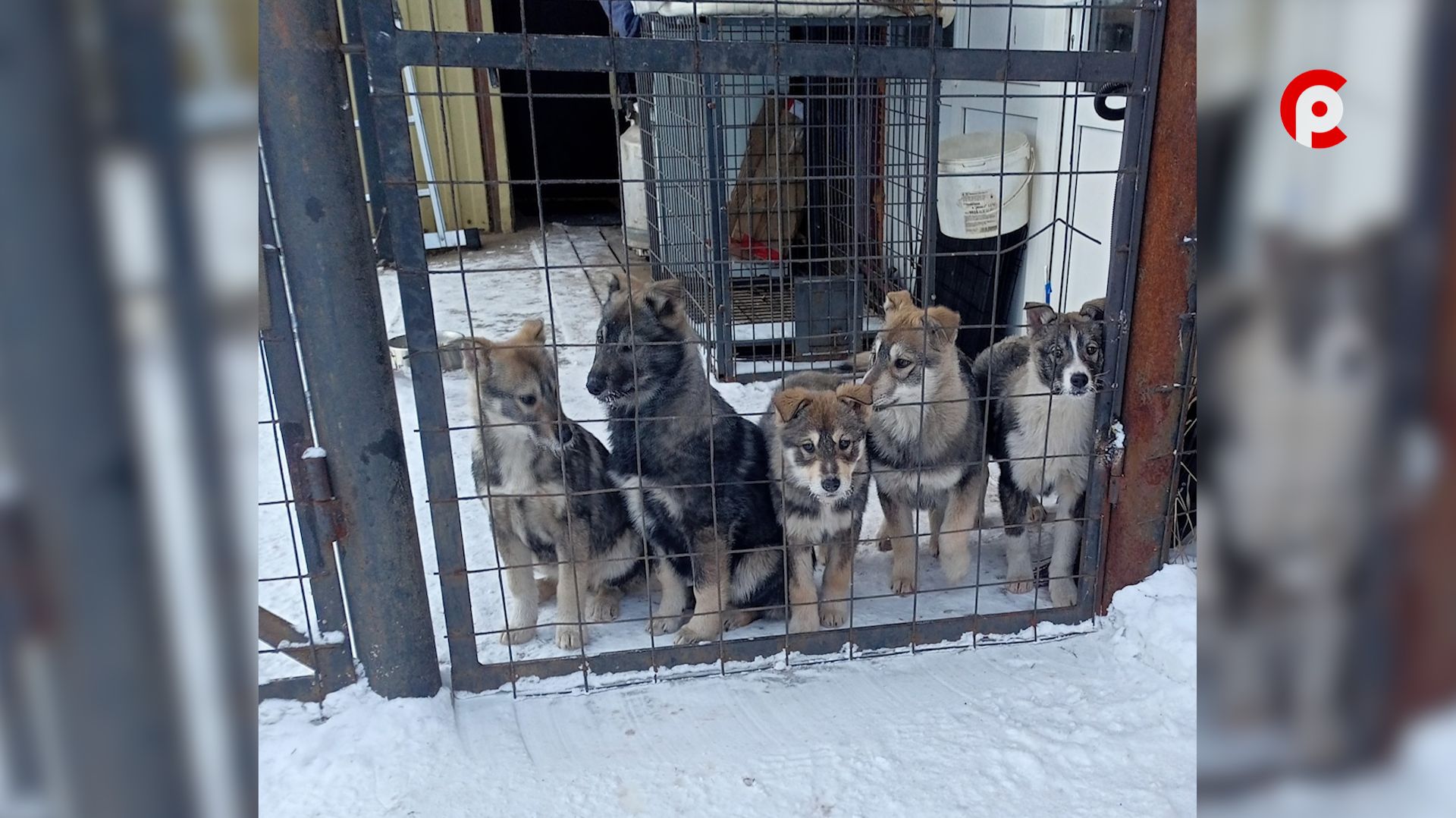 Общее дело 29.01.2026 смотреть онлайн