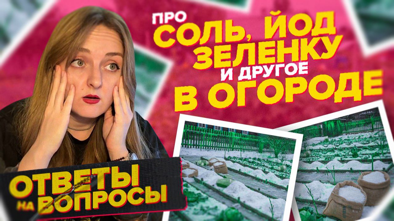 ОТВЕТЫ НА ВОПРОСЫ про соль, йод, молоко, зеленку и удобрения смотреть онлайн