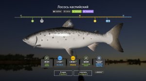 Русская Рыбалка 4-Новогодние Экстра Задания 2026: Лосось каспийский р. Ахтуба