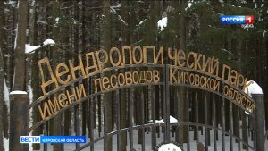 Кировский дендропарк ждёт масштабное благоустройство