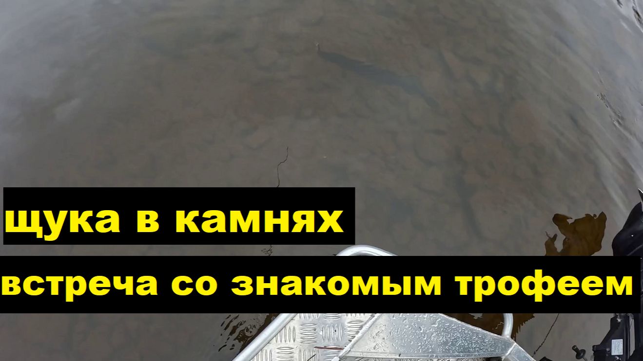 Встреча со знакомым трофеем. Щука в камнях. Лучший воблер осени. Встреча со знакомым трофеем. Щука в камнях. Лучший воблер осени.