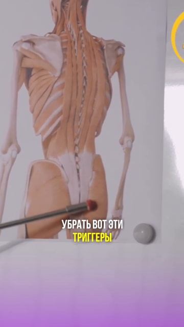 Болит копчик? Не оперируйте! #shorts #упражнения #бубновский Болит копчик? Не оперируйте! #shorts #упражнения #бубновский