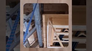 1000047294.mp4 (Собака наблюдает за устройством лестницы на 2 этаж в доме А-фрейм)