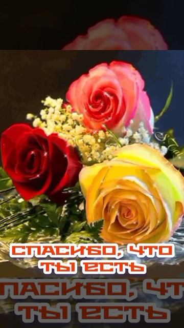 YouCut_20260128_220916722.mp4 смотреть онлайн