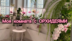 Тропические ДЖУНГЛИ в квартире 🌿🪴🌸🌺🌼 #орхидеи