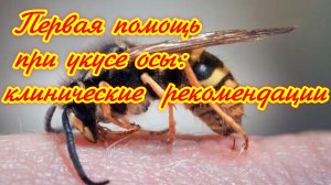 Первая помощь при укусе осы-пчелы: клинические рекомендации