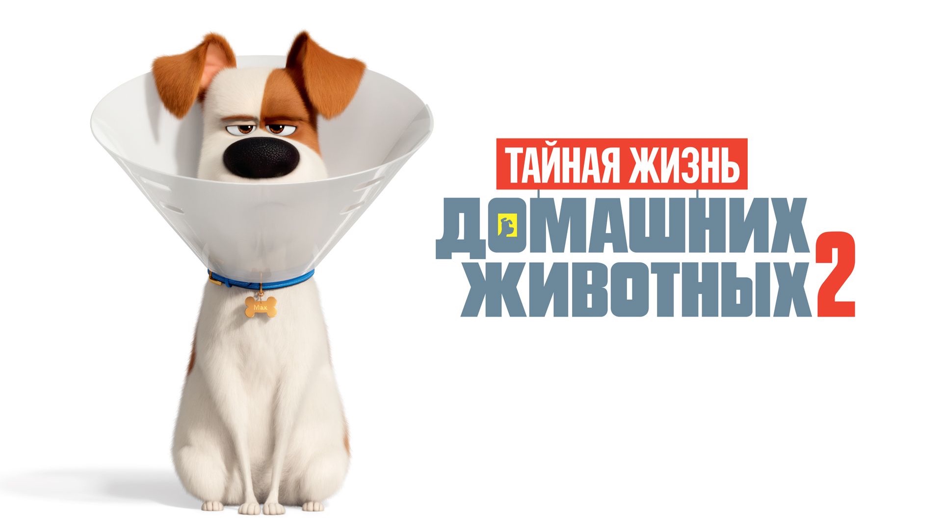 Тайная жизнь домашних животных 2 (The Secret Life of Pets 2). Мультфильм, приключения. Обзор смотреть онлайн