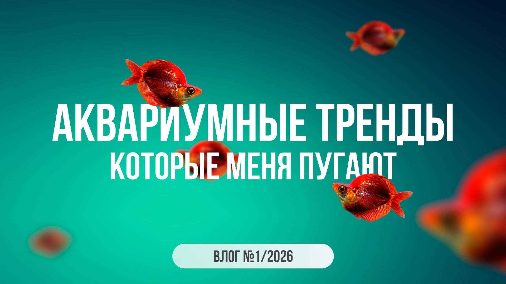 Аквариумные тренды, которые меня пугают смотреть онлайн