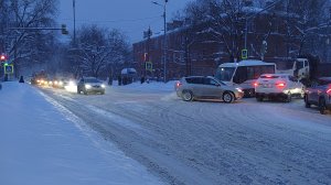 Зима! Столько снега я давно не видела! #зимавподмосковье