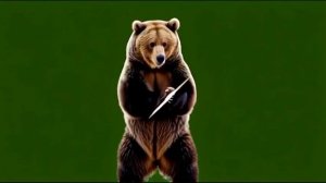 Медведь музыццирует 2_encoded