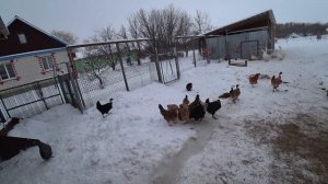 Пережили морозы... Теперь надо отогреть трактор