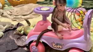 Николь стала АВТО-ЛЕДИ на собственном лимузине