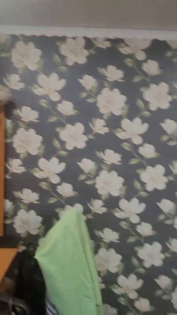 video_2026-01-29_11-20-47 смотреть онлайн